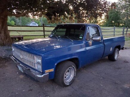 Photo 1 for 1981 Chevrolet C/K Truck