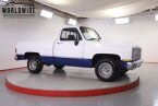 Thumbnail Photo 2 for 1981 Chevrolet C/K Truck 2WD Regular Cab 1500