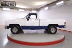 Thumbnail Photo 3 for 1981 Chevrolet C/K Truck 2WD Regular Cab 1500