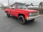 Thumbnail Photo 2 for 1981 Chevrolet C/K Truck