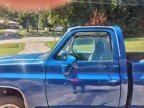Thumbnail Photo 1 for 1981 Chevrolet C/K Truck