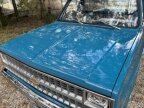 Thumbnail Photo 3 for 1981 Chevrolet C/K Truck
