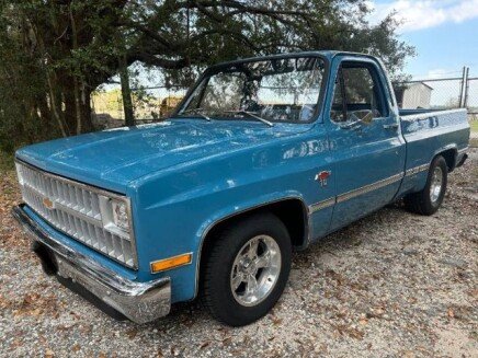 Photo 1 for 1981 Chevrolet C/K Truck