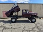 Thumbnail Photo 6 for 1981 Chevrolet C/K Truck
