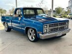 Thumbnail Photo 3 for 1981 Chevrolet C/K Truck Silverado