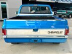 Thumbnail Photo 6 for 1981 Chevrolet C/K Truck Silverado