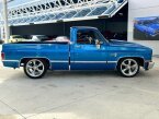 Thumbnail Photo 4 for 1981 Chevrolet C/K Truck Silverado
