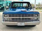 Thumbnail Photo 2 for 1981 Chevrolet C/K Truck Silverado