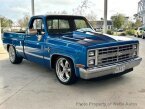 Thumbnail Photo 2 for 1981 Chevrolet C/K Truck 2WD Regular Cab 1500