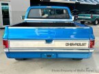 Thumbnail Photo 5 for 1981 Chevrolet C/K Truck 2WD Regular Cab 1500