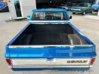 Thumbnail Photo 6 for 1981 Chevrolet C/K Truck 2WD Regular Cab 1500