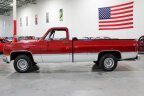Thumbnail Photo 3 for 1981 Chevrolet C/K Truck