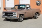 Thumbnail Photo 2 for 1981 Chevrolet C/K Truck C10