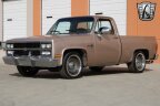 Thumbnail Photo 4 for 1981 Chevrolet C/K Truck C10