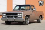 Thumbnail Photo 3 for 1981 Chevrolet C/K Truck C10
