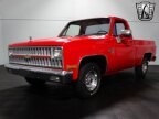 Thumbnail Photo 3 for 1981 Chevrolet C/K Truck 2WD Regular Cab 1500