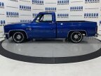 Thumbnail Photo 3 for 1981 Chevrolet C/K Truck Scottsdale