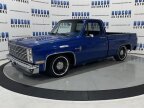 Thumbnail Photo 2 for 1981 Chevrolet C/K Truck Scottsdale