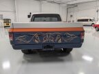 Thumbnail Photo 1 for 1981 Chevrolet C/K Truck