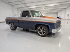 Thumbnail Photo 4 for 1981 Chevrolet C/K Truck