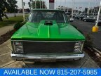 Thumbnail Photo 3 for 1981 Chevrolet C/K Truck 2WD Regular Cab 1500