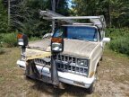 Thumbnail Photo 1 for 1981 Chevrolet C/K Truck