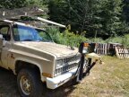 Thumbnail Photo 4 for 1981 Chevrolet C/K Truck