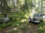 Thumbnail Photo 3 for 1981 Chevrolet C/K Truck