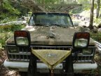 Thumbnail Photo 5 for 1981 Chevrolet C/K Truck
