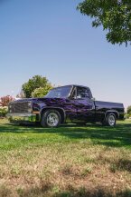 Thumbnail Photo 1 for 1981 Chevrolet C/K Truck C10 for Sale by Owner