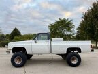 Thumbnail Photo 4 for 1981 Chevrolet C/K Truck