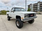Thumbnail Photo 5 for 1981 Chevrolet C/K Truck