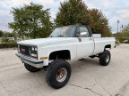Thumbnail Photo 1 for 1981 Chevrolet C/K Truck
