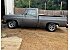 1981 Chevrolet C/K Truck