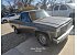 1981 Chevrolet C/K Truck 2WD Regular Cab 1500