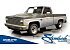1981 Chevrolet C/K Truck 2WD Regular Cab 1500