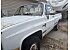 1981 Chevrolet C/K Truck