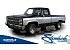 1981 Chevrolet C/K Truck Silverado