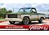 1981 Chevrolet C/K Truck