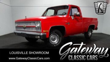 1981 Chevrolet C/K Truck 2WD Regular Cab 1500