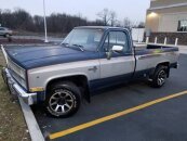 1981 Chevrolet C/K Truck Camper Special