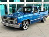 1981 Chevrolet C/K Truck Silverado