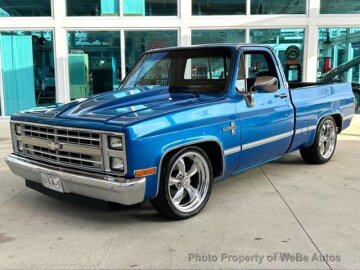 1981 Chevrolet C/K Truck 2WD Regular Cab 1500
