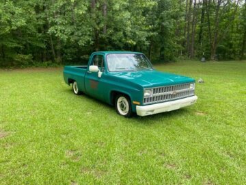 1981 Chevrolet C/K Truck