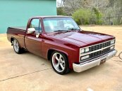 1981 Chevrolet C/K Truck Silverado