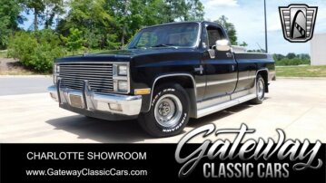 1981 Chevrolet C/K Truck C10