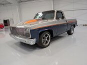 1981 Chevrolet C/K Truck