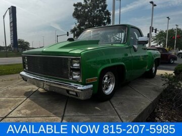 1981 Chevrolet C/K Truck 2WD Regular Cab 1500