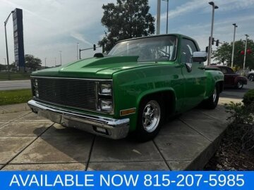 1981 Chevrolet C/K Truck 2WD Regular Cab 1500