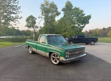 1981 Chevrolet C/K Truck